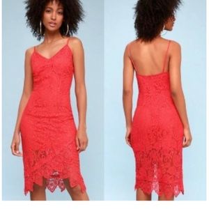 BB Dakota RSVP Rylee Slip Lace Dress